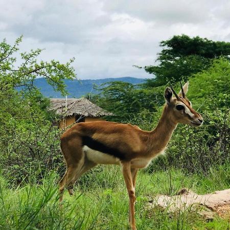 Oldonyo Orok Lodge Kajiado Εξωτερικό φωτογραφία