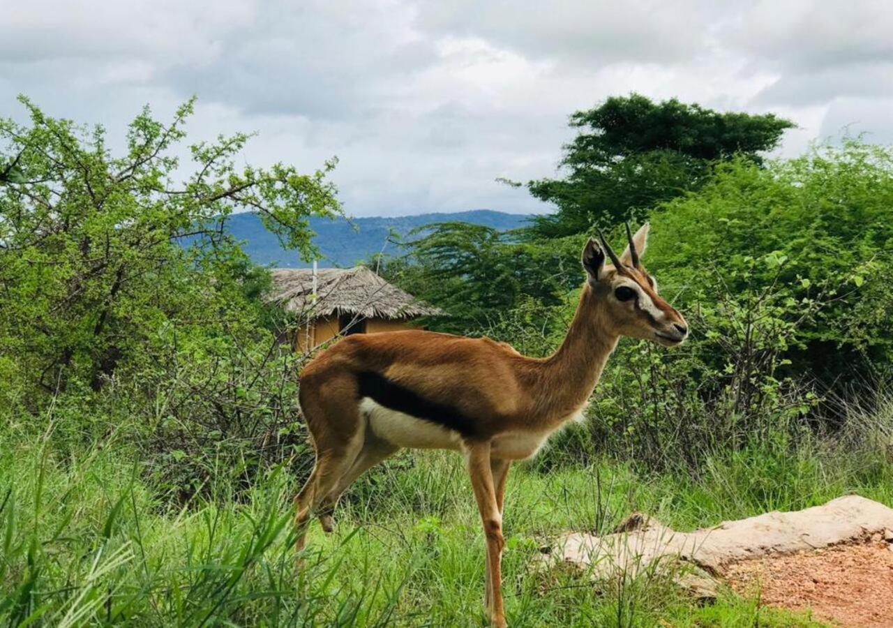 Oldonyo Orok Lodge Kajiado Εξωτερικό φωτογραφία