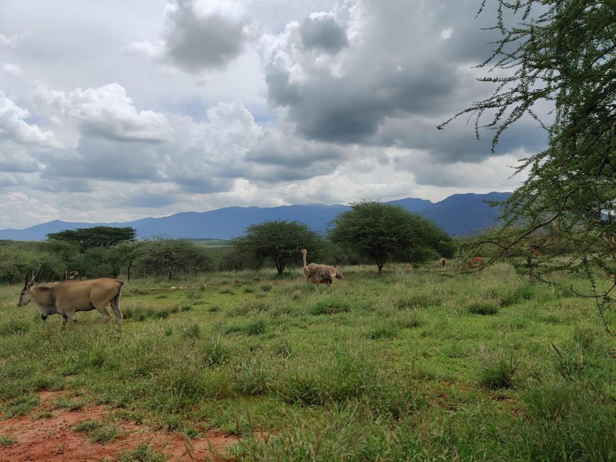 Oldonyo Orok Lodge Kajiado Εξωτερικό φωτογραφία